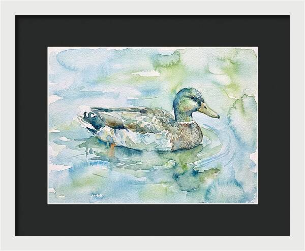 Duck Swimming In Tranquil Waters