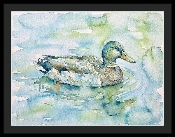 Duck Swimming In Tranquil Waters