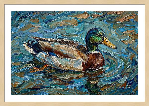 Duck Swimming In Vibrant Waters