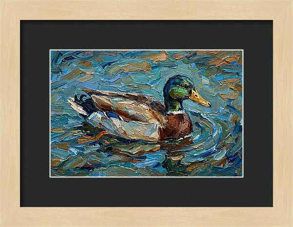 Duck Swimming In Vibrant Waters