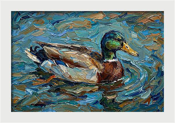 Duck Swimming In Vibrant Waters