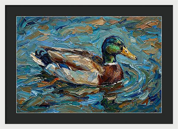 Duck Swimming In Vibrant Waters