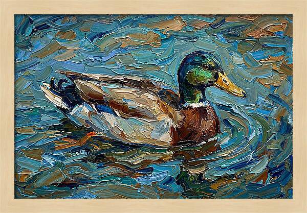 Duck Swimming In Vibrant Waters