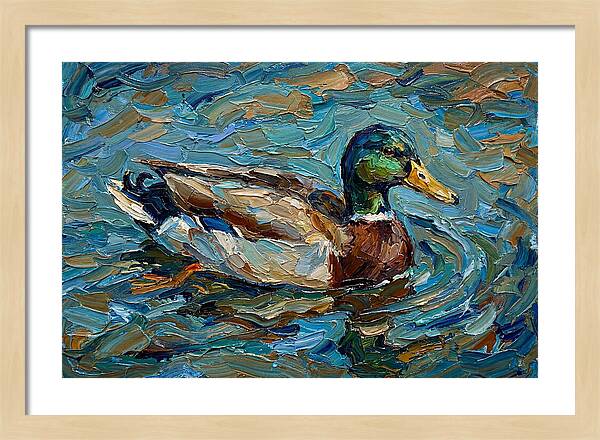 Duck Swimming In Vibrant Waters