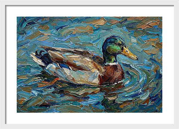 Duck Swimming In Vibrant Waters