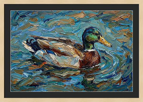 Duck Swimming In Vibrant Waters