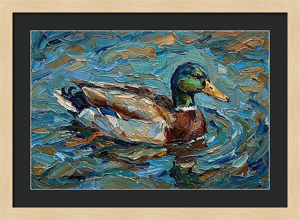 Duck Swimming In Vibrant Waters