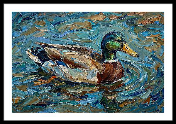Duck Swimming In Vibrant Waters