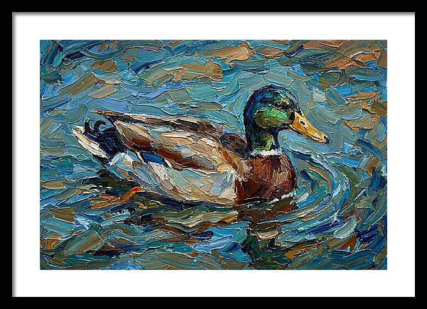 Duck Swimming In Vibrant Waters