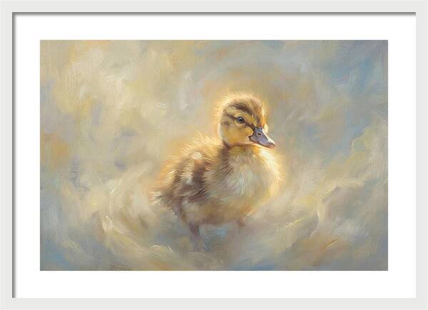 Duckling In Soft Light
