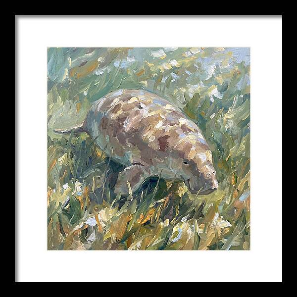 Dugong Among Seagrass