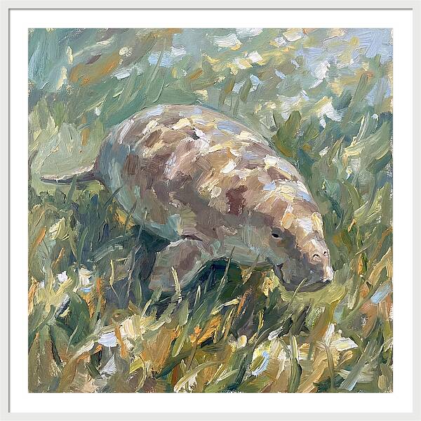 Dugong Among Seagrass