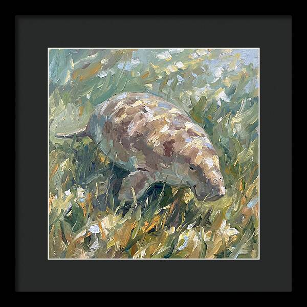 Dugong Among Seagrass