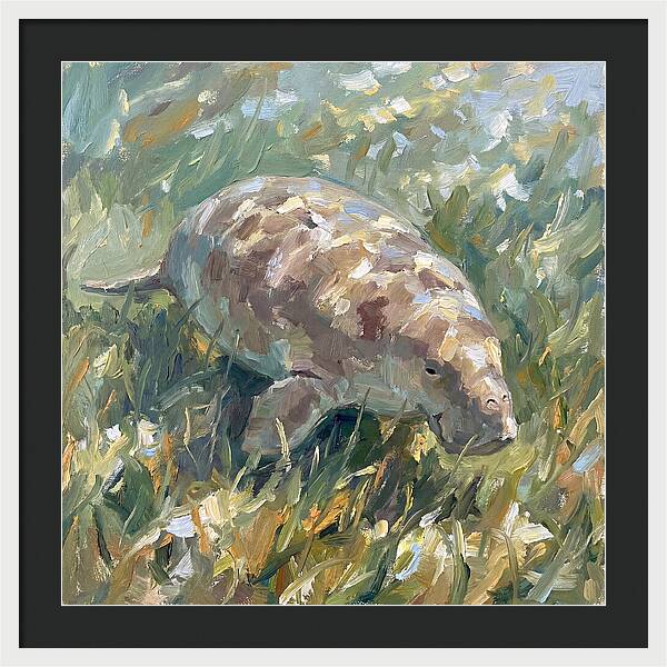 Dugong Among Seagrass