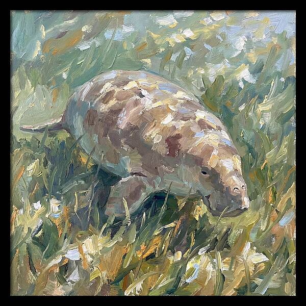 Dugong Among Seagrass