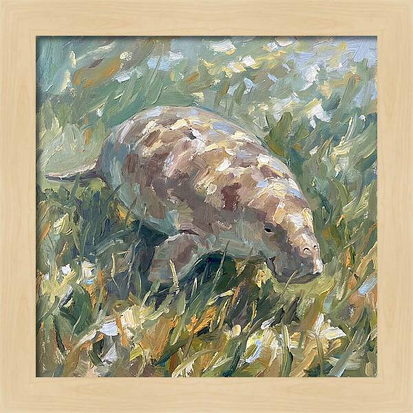 Dugong Among Seagrass