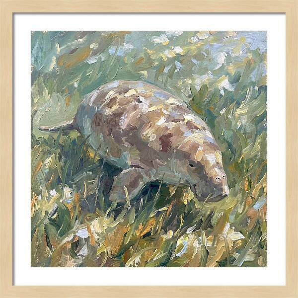 Dugong Among Seagrass