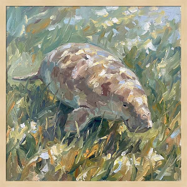 Dugong Among Seagrass