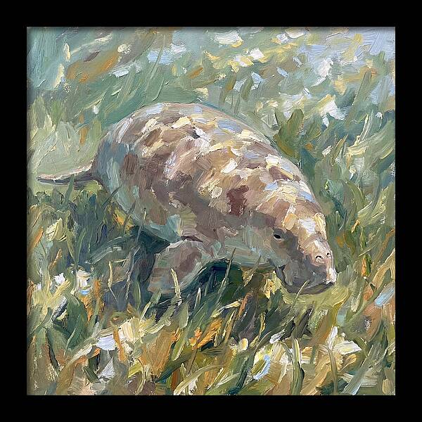 Dugong Among Seagrass