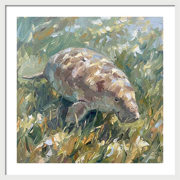 Dugong Among Seagrass