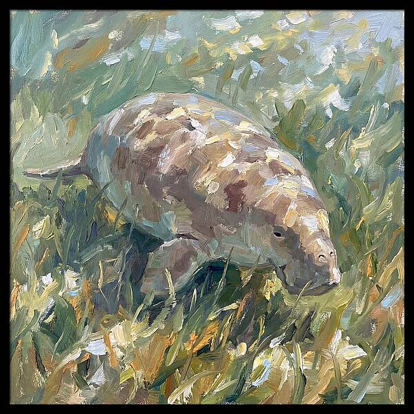 Dugong Among Seagrass