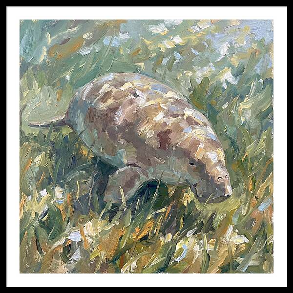 Dugong Among Seagrass