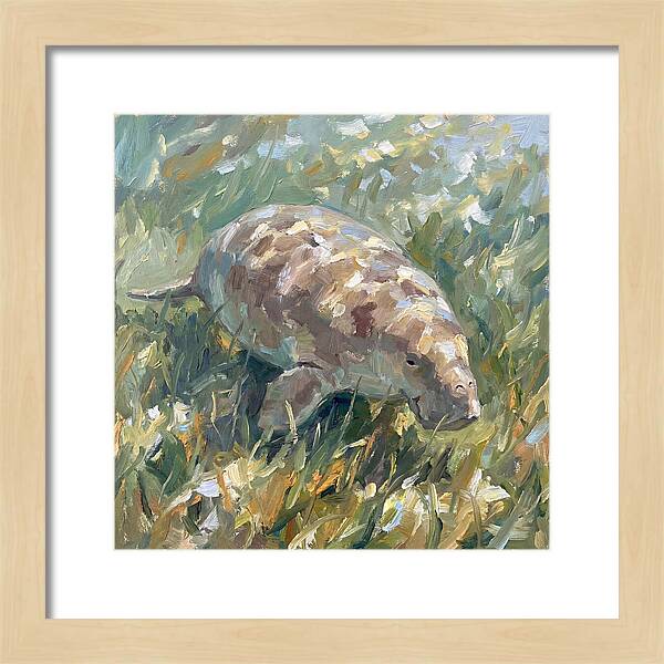 Dugong Among Seagrass