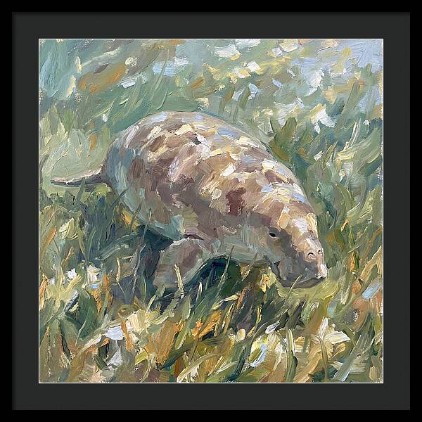 Dugong Among Seagrass