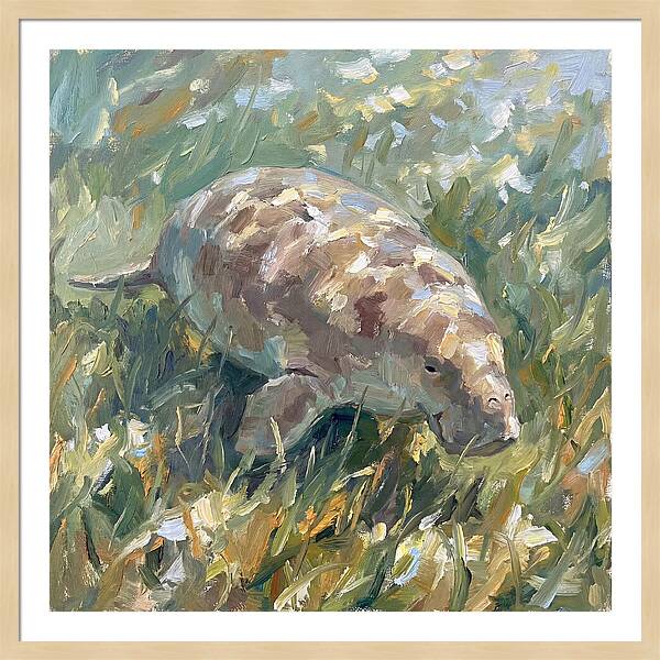 Dugong Among Seagrass