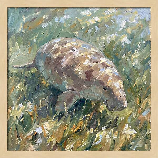 Dugong Among Seagrass