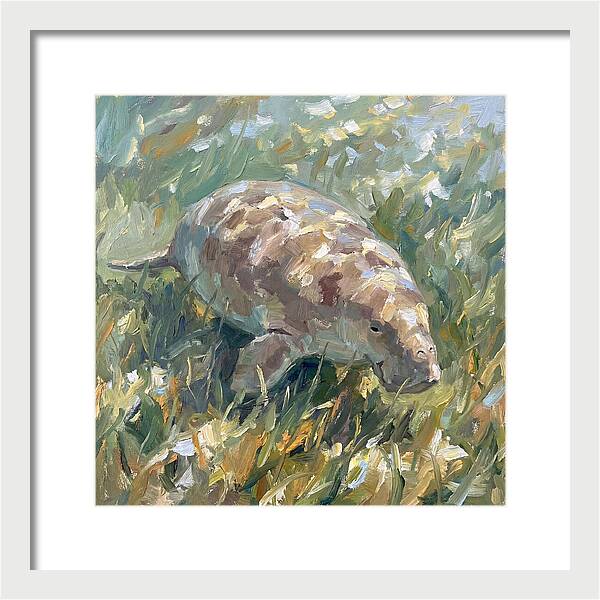 Dugong Among Seagrass