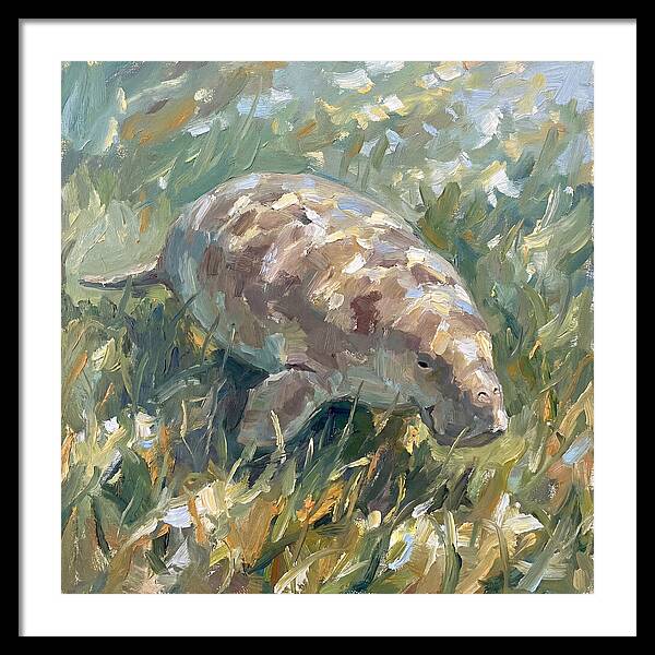 Dugong Among Seagrass