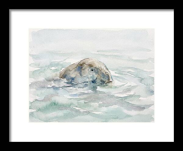 Dugong Beneath The Surface