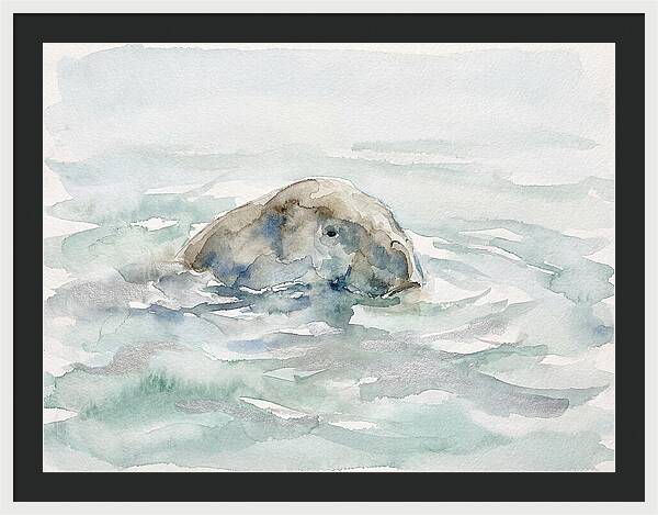 Dugong Beneath The Surface