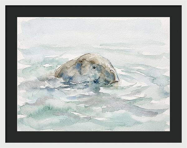 Dugong Beneath The Surface