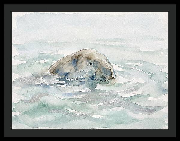 Dugong Beneath The Surface