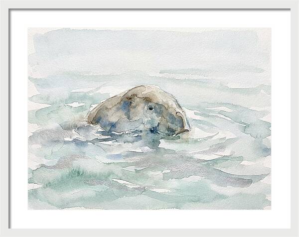 Dugong Beneath The Surface