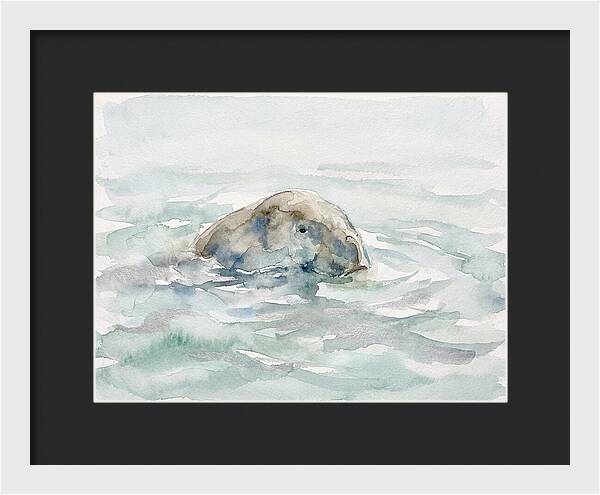 Dugong Beneath The Surface