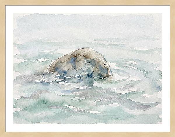 Dugong Beneath The Surface