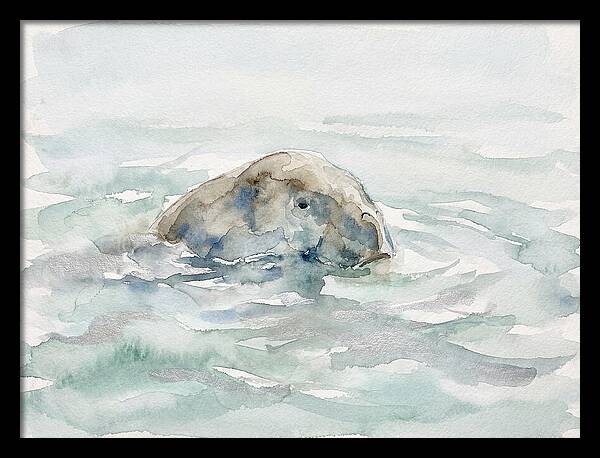 Dugong Beneath The Surface