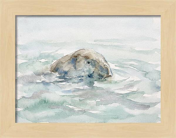 Dugong Beneath The Surface