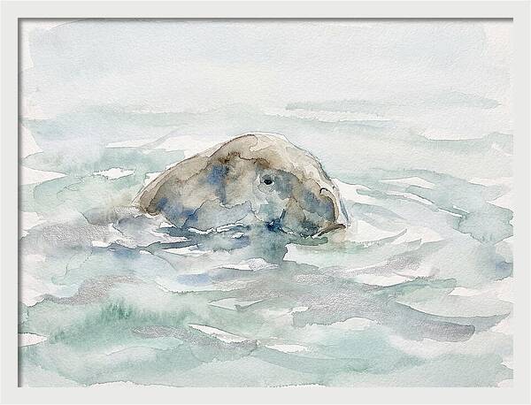 Dugong Beneath The Surface