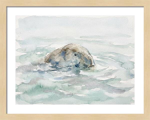 Dugong Beneath The Surface