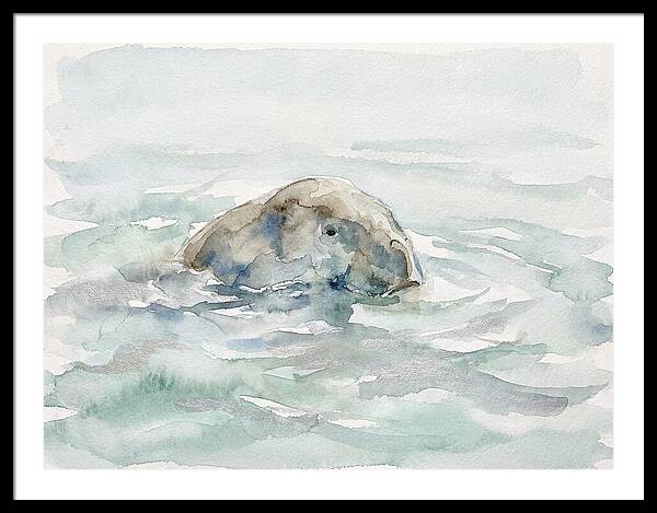 Dugong Beneath The Surface