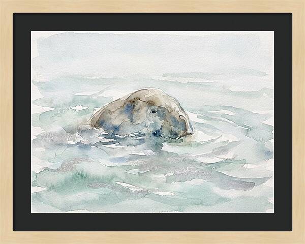 Dugong Beneath The Surface