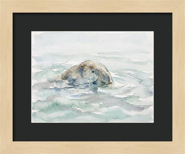 Dugong Beneath The Surface