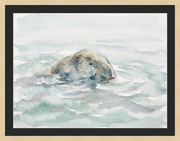 Dugong Beneath The Surface