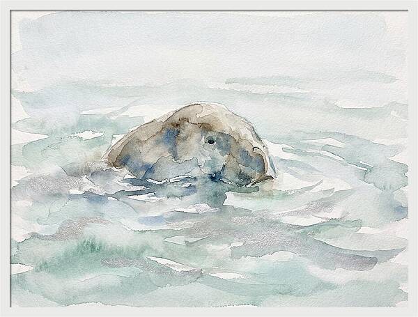 Dugong Beneath The Surface