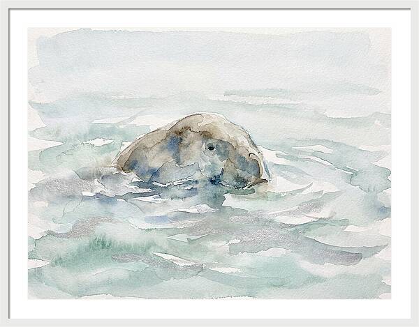 Dugong Beneath The Surface