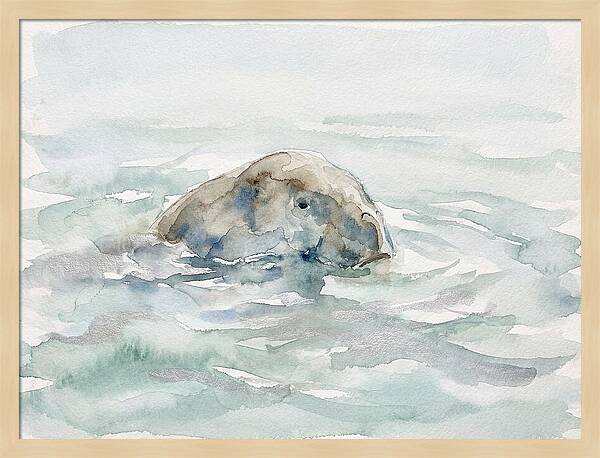 Dugong Beneath The Surface